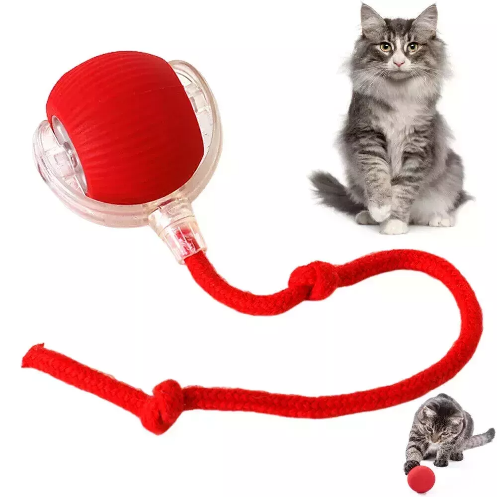 Cat Interactive Ball Toys Rolling Ball Faux Tail Rechargeable Smart Pet Toy - Image 2