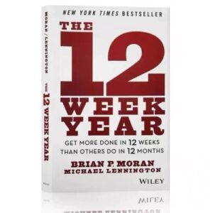 12 Week Year : Get More Done in 12 Weeks Than Others Do in 12 Months by Michael