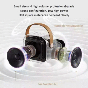 K12 Bluetooth Karaoke Machine Portable 5.3 PA Speaker System with 2 Wireless Mic