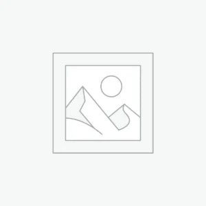 Quisque et nulla ut massa mattis